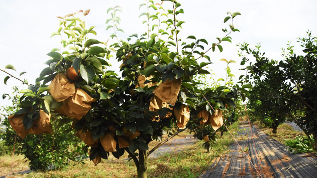 人生就是搏·(中国区)官方网站
