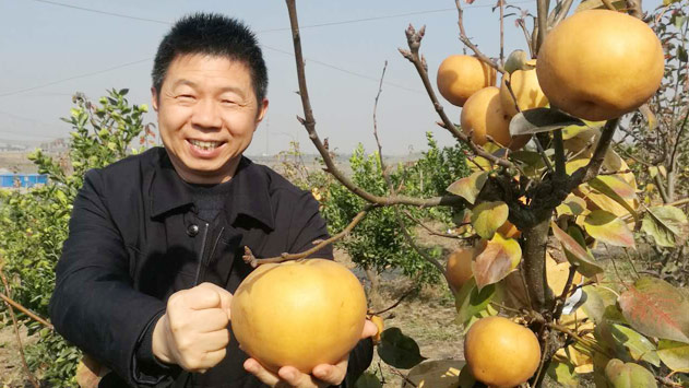 人生就是搏·(中国区)官方网站